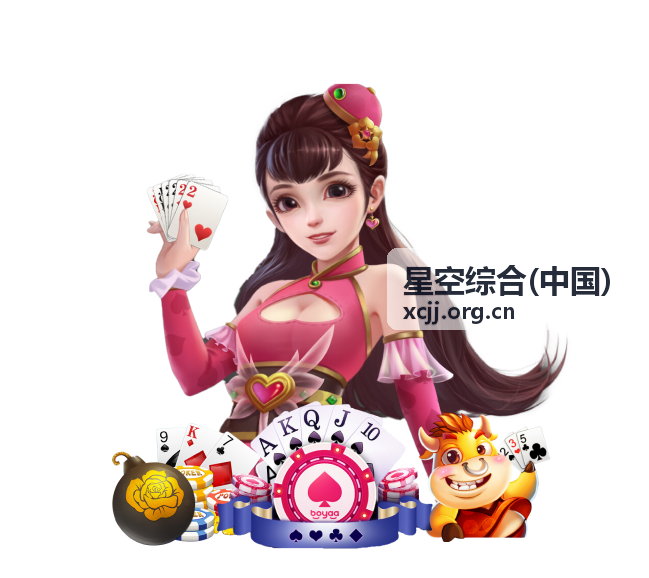 星空综合(中国)专业服务机构客户资料集中管理案例封面